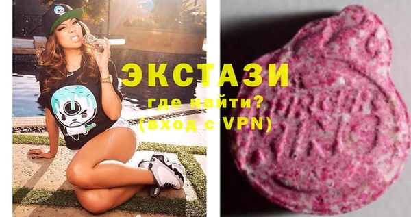 крисы Корсаков