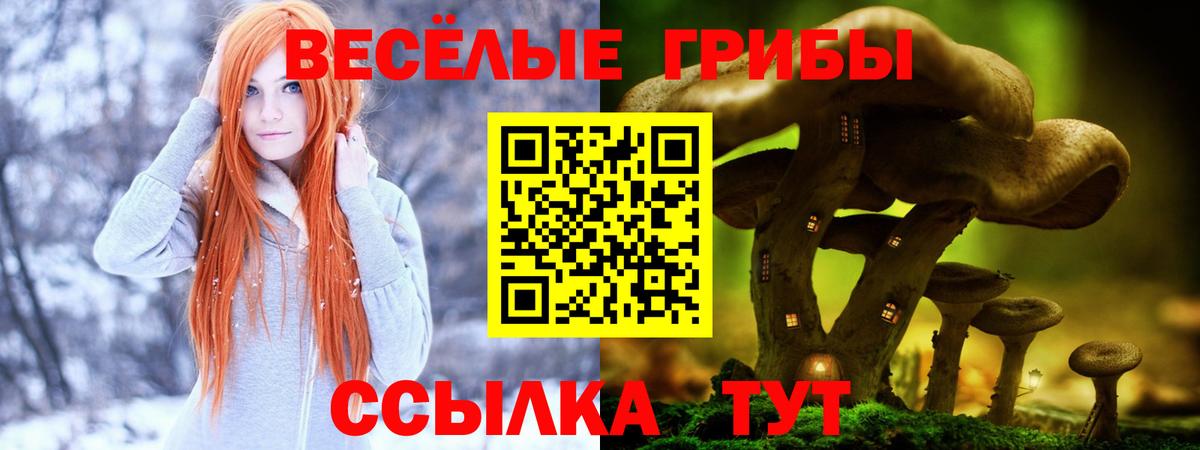 Кумертау  Псилоцибиновые грибы прущие грибы  Вход с VPN 