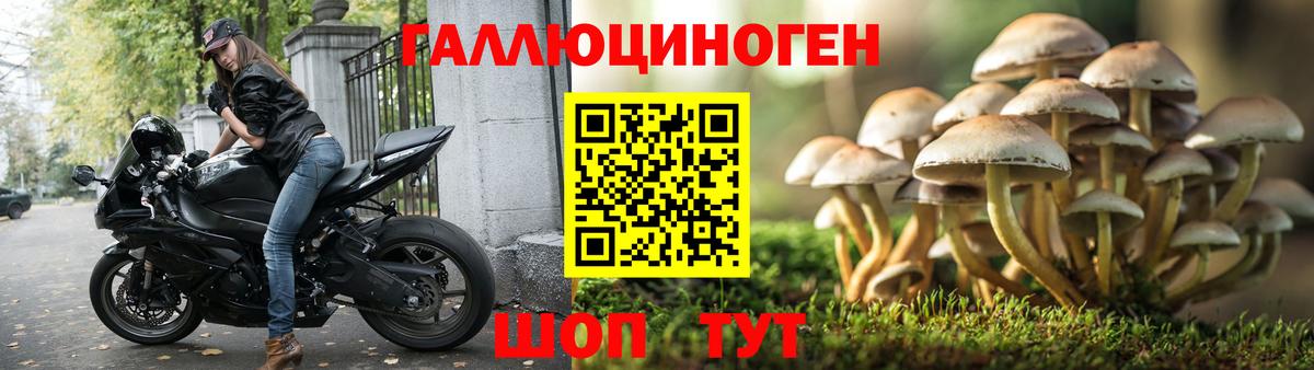 Псилоцибиновые грибы MAGIC MUSHROOMS Кумертау