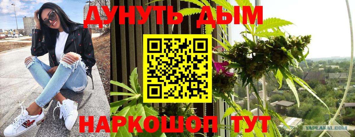 Шишки марихуана конопля  МАРИХУАНА ГИДРОПОН  Кумертау  Вход с VPN  Бошки марихуана ГИДРОПОН 